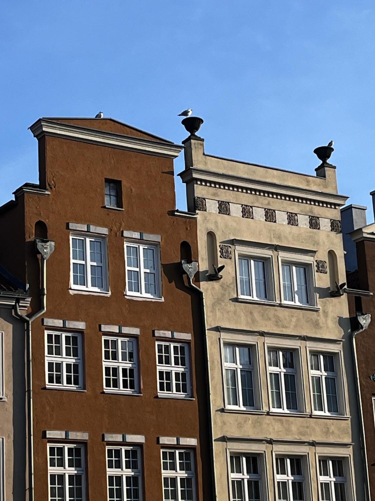Grand Apartment - Old Town & City Center Gdansk Exterior foto